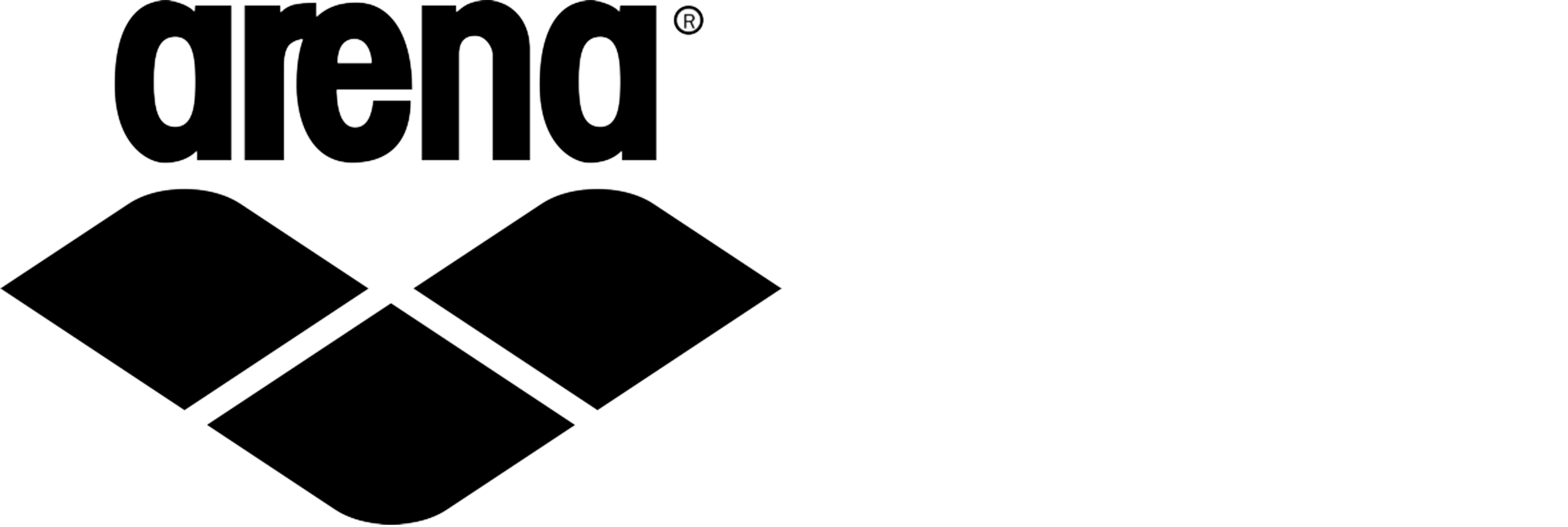 Sviluppo siti web Bergamo logo-arena