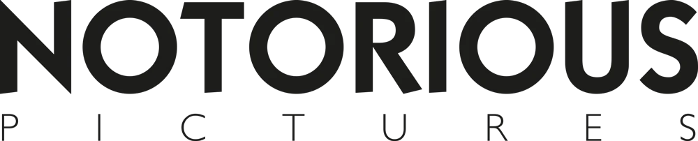 forniamo consulenza informatica a milano per notorious